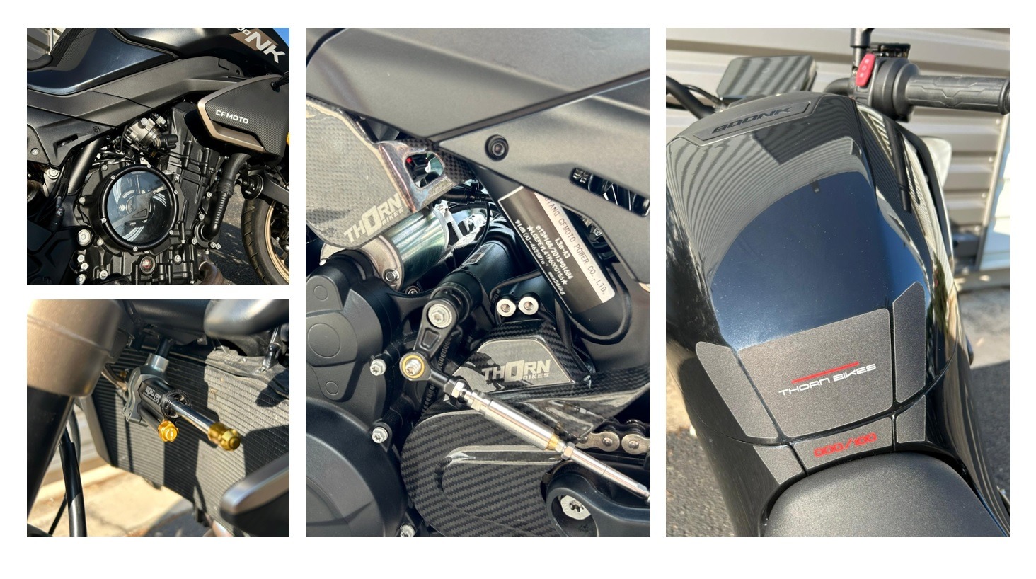 52VYUy8zQG_4723_84498_CMS THORN.jpg